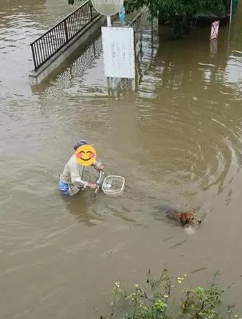 宠物牵引绳