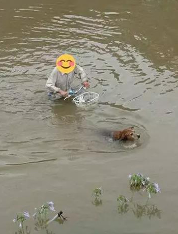 宠物牵引绳