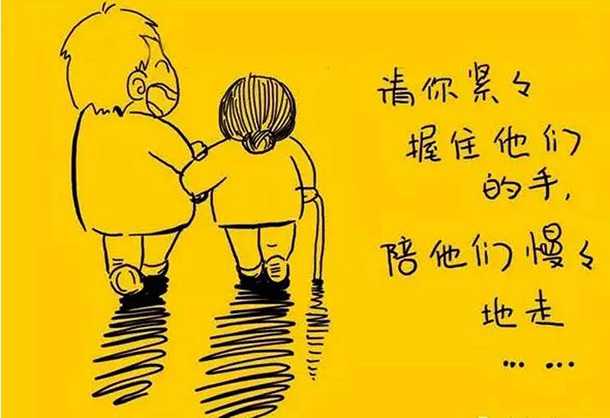 宠物用品