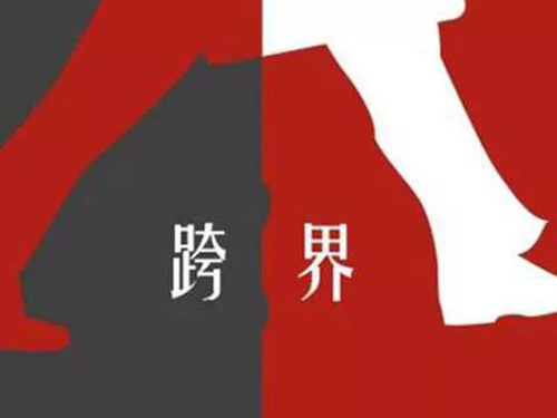 宠物用品