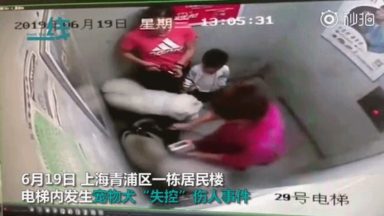 宠物用品