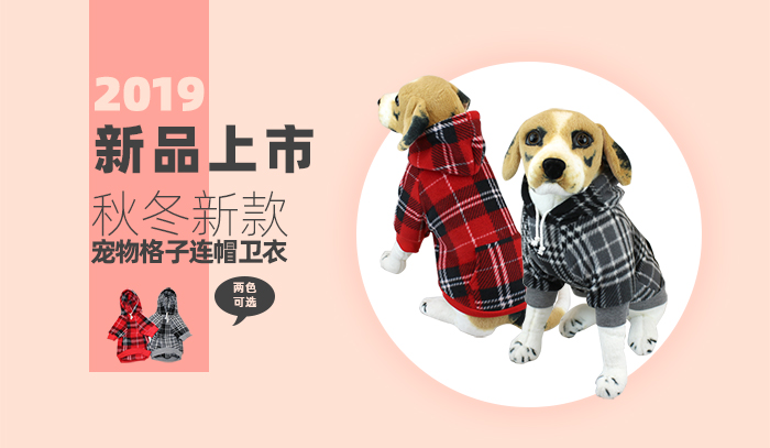 宠物衣服