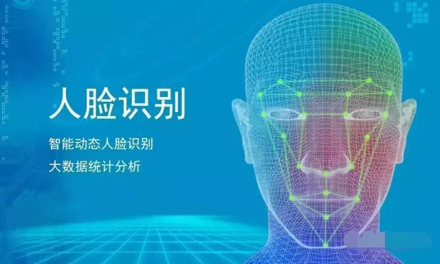 宠物用品