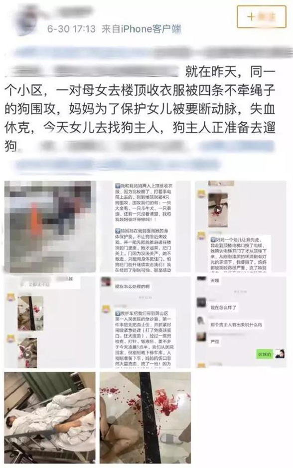 宠物牵引绳