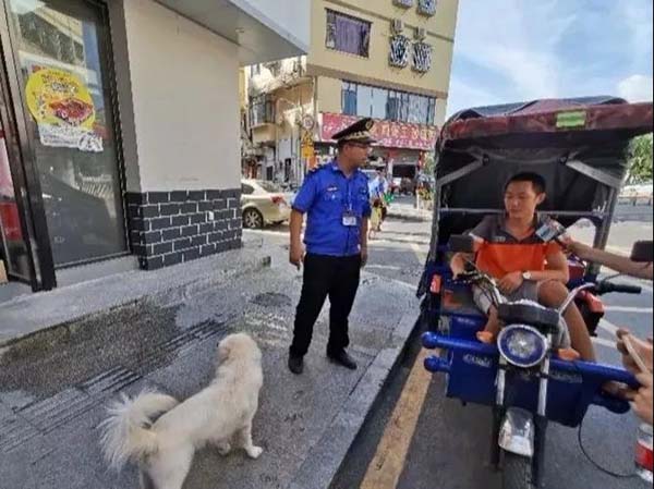 宠物牵引绳