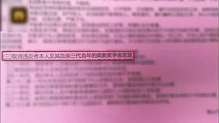 宠物牵引绳