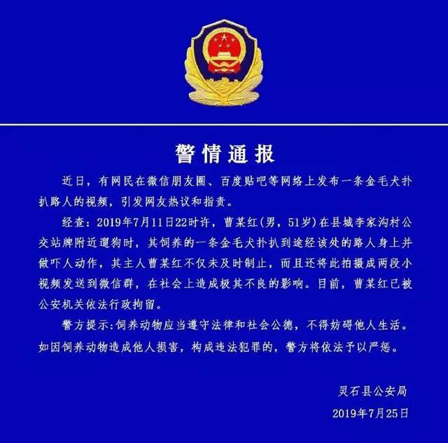 宠物牵引绳
