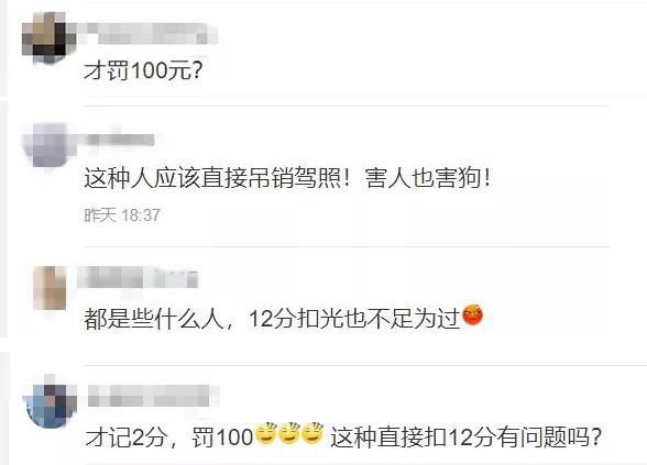 宠物牵引绳