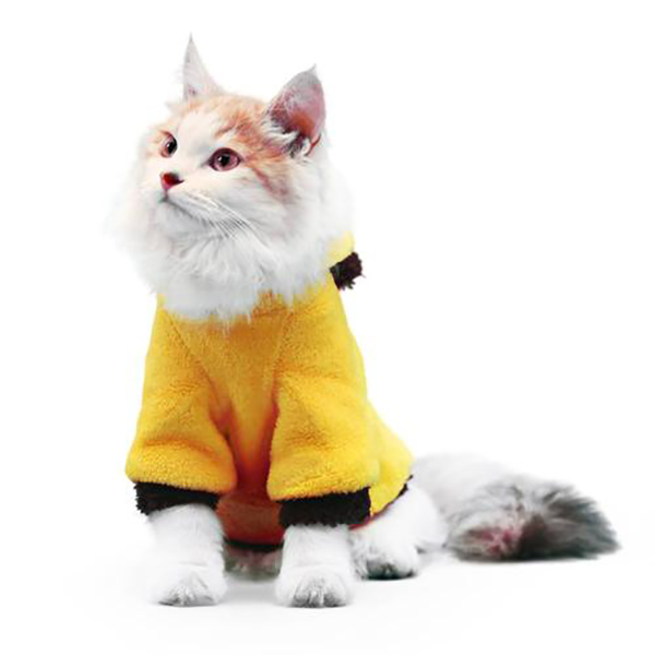 宠物衣服