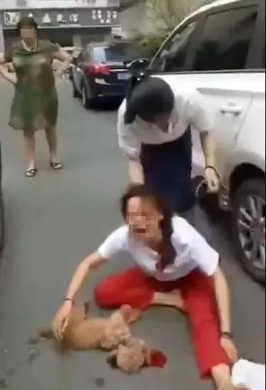 宠物牵引绳