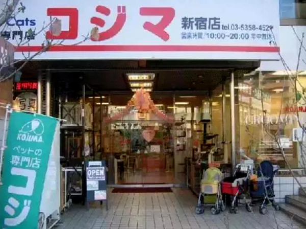 宠物用品
