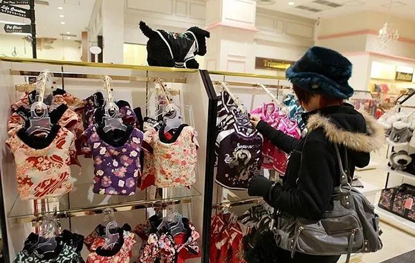 宠物用品