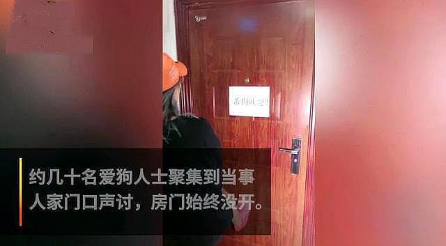宠物牵引绳
