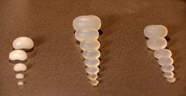 宠物用品