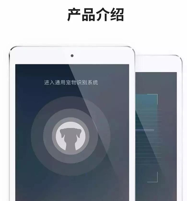 宠物用品