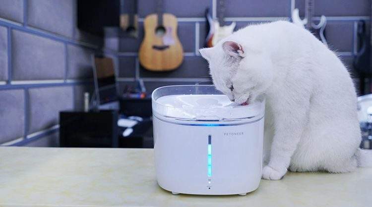 宠物用品