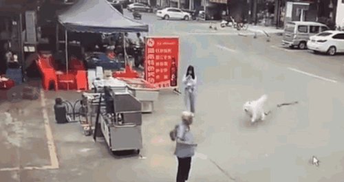 宠物牵引绳