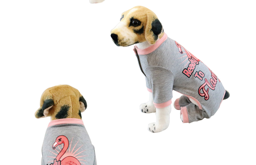 1630567356611777.jpg 1 (6).jpg