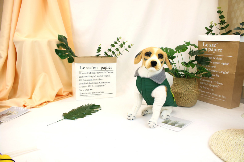 1630651544885737.jpg 2 (6).jpg